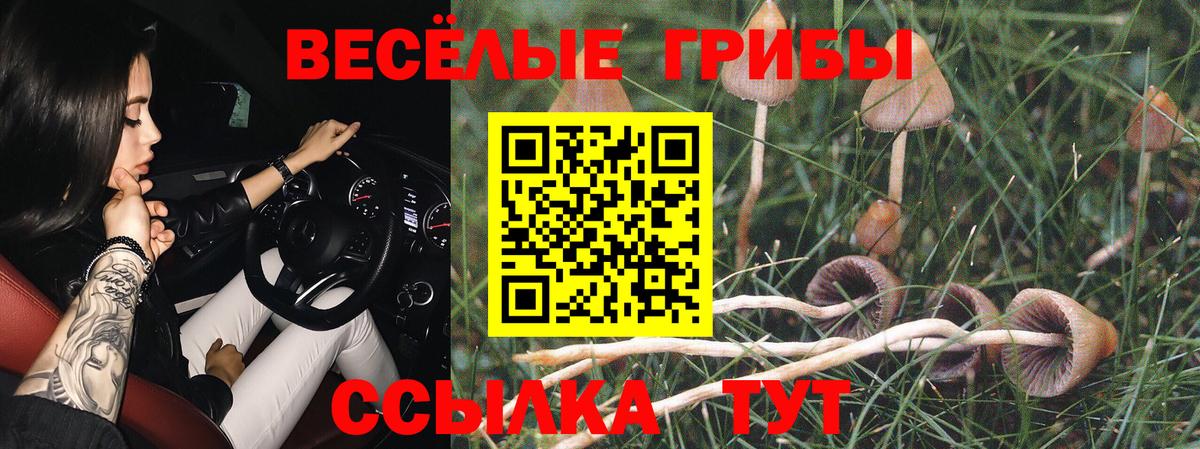 Псилоцибиновые грибы прущие грибы  Вход с VPN  Асино 