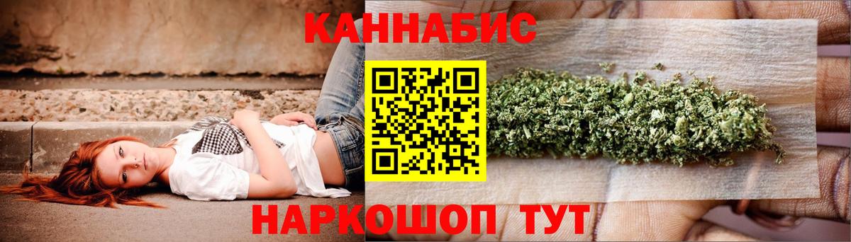 Каннабис планчик  Конопля Bruce Banner  Вход с VPN  Асино 